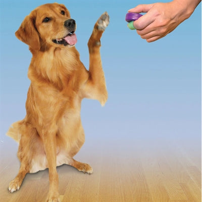 Clik-R Petsafe Clicker Training Compact met Vingerbandje