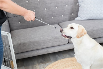 Trixie Dog Activity Target Stick Aanwijsstok Assorti 14-65cm