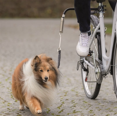 Trixie Bikerset Fietsbeugel Springer Veilig fietsen Met Hond