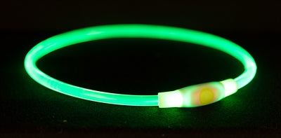 Trixie Lichtgevende Halsband Usb Flash Groen 65 x 0,8 cm
