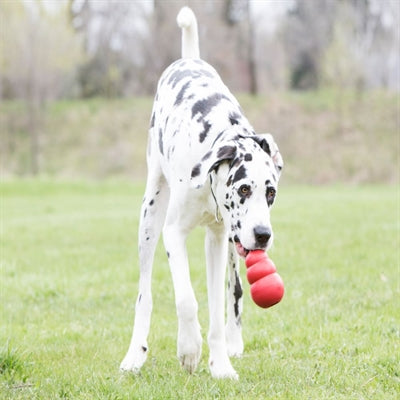 Kong Classic Rood XXL