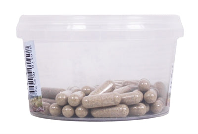 Dierendrogist Echinacea Bio Capsules Wondheling 50 stuks