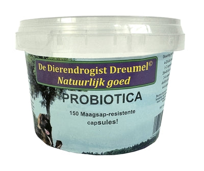 Dierendrogist Probiotica Capsules Supplement Hond Darmflora