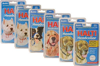 Company Of Animals Halti Headcollar Hond Zwart
